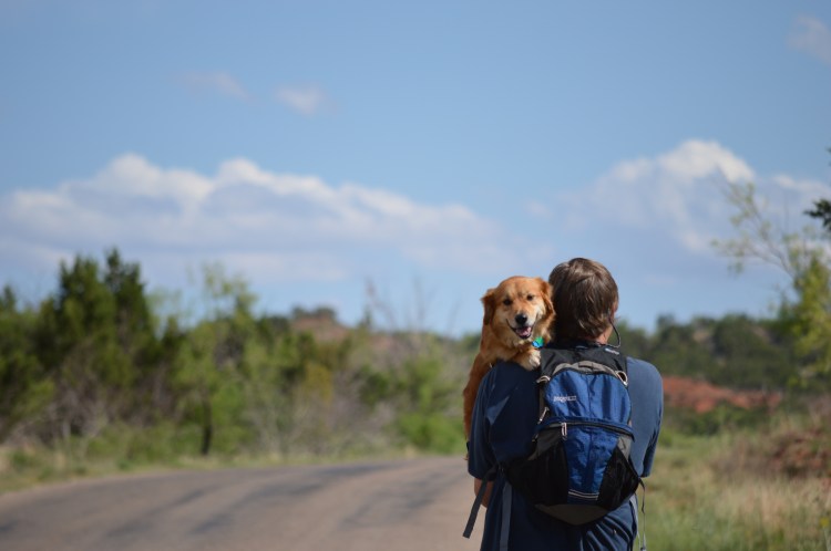 It's hard having short legs!