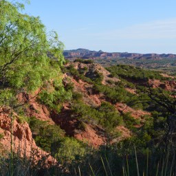 Caprock Canyon State Park