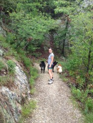 Hiking in Hot Springs National Forest