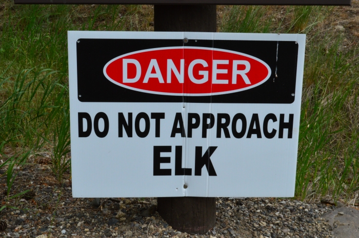 Elk Warning