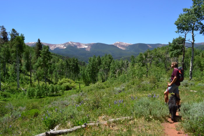 Deas taking in the view