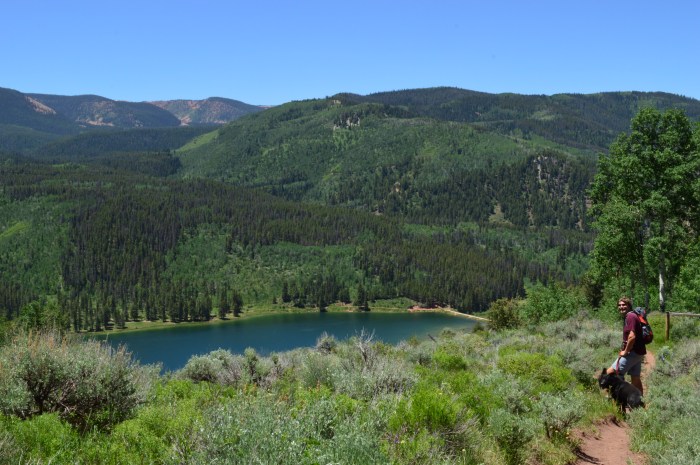 Overlooking Sylvan Lake