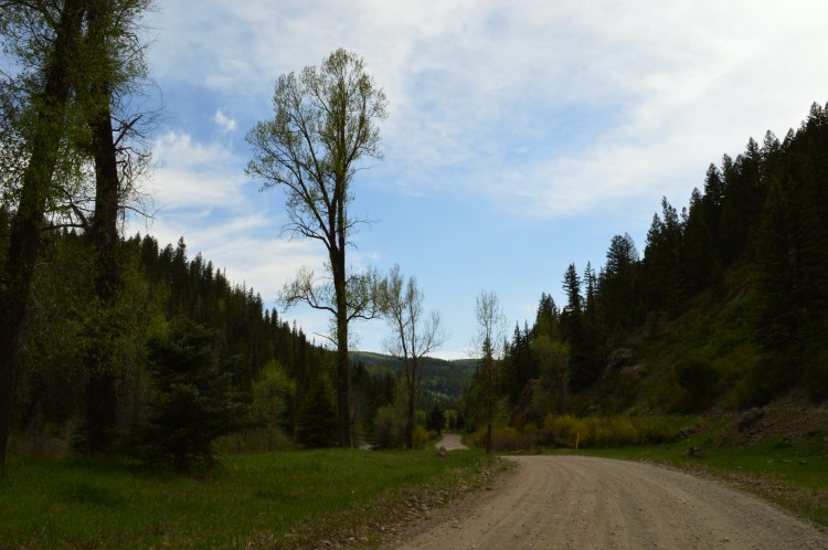 Forest Service Road 667