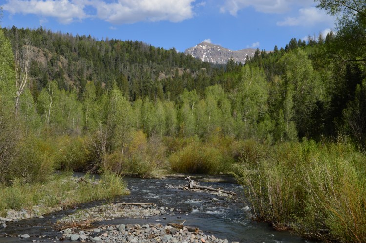 Snow covered peaks in the background