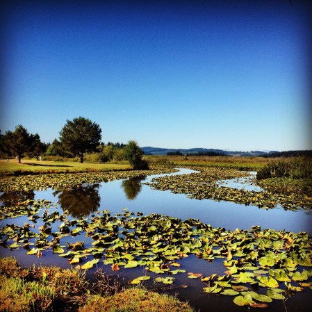 Silverlake, WA (Silver Cove Campground)