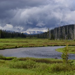 Grand Tetons and Yellowstone – in 2 days!