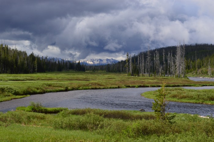 Yellowstone National Park