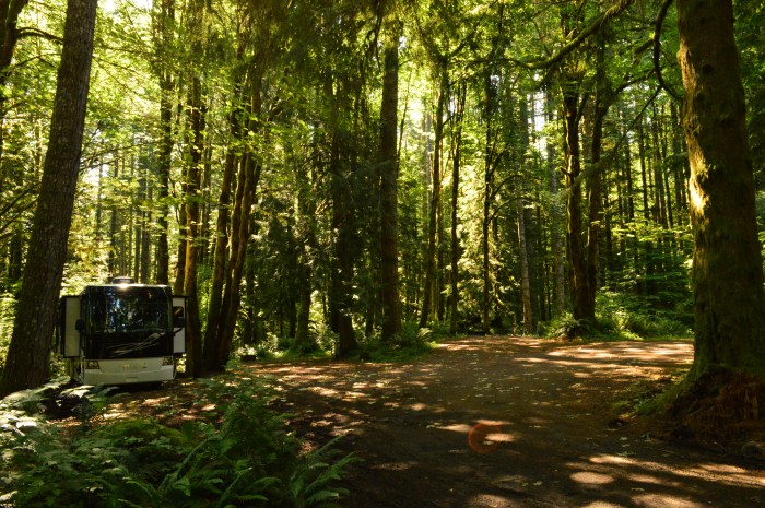 Our site in Mt Hood Village