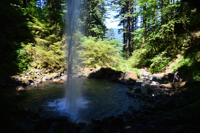 Behind Horseshoe Falls