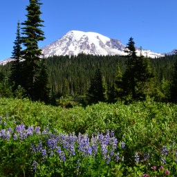 To plan or not to plan….that is the question