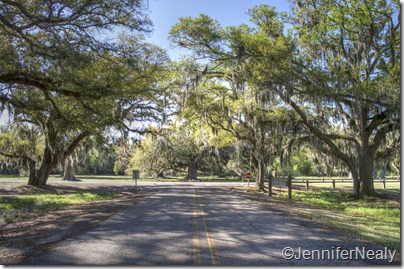 20140409-_DSC4398_tonemapped