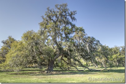 20140409-_DSC4409_tonemapped