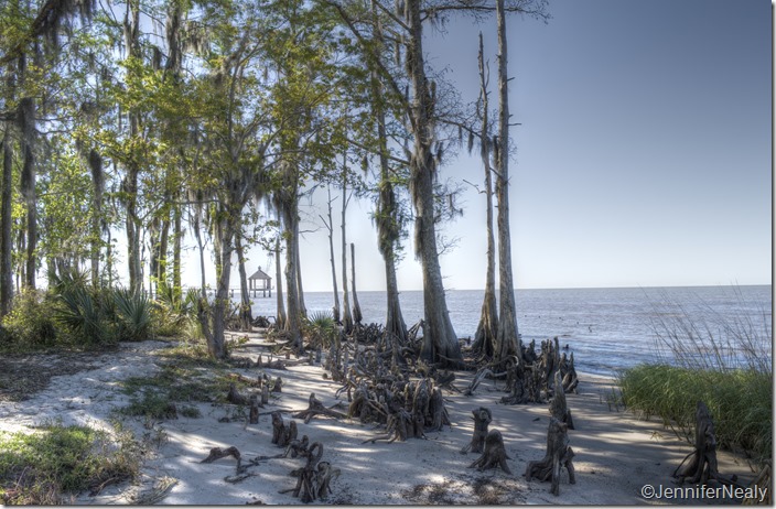 20140409-_DSC4448_49_50