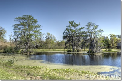 20140409-_DSC4454_5_6