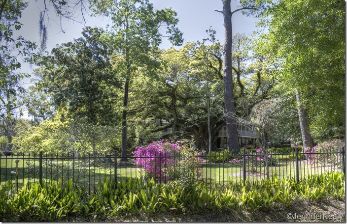 20140409-_DSC4468_9-2