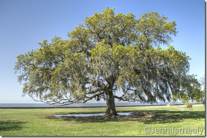 20140410-_DSC4473_tonemapped