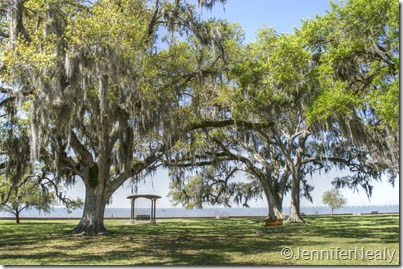 20140410-_DSC4483_tonemapped