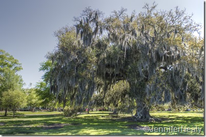 20140410-_DSC4495_tonemapped