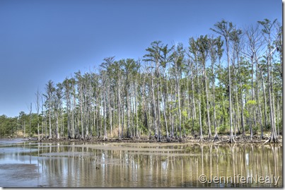 20140410-_DSC4496_7_8