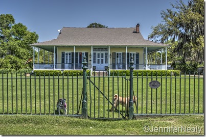 20140410-_DSC4506_tonemapped