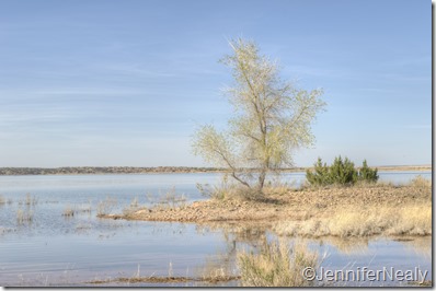 20140417-_DSC4723_4_5