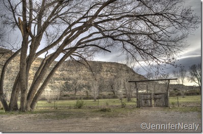 20140419-_DSC4792_3_4