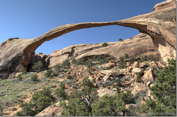 20140421-_DSC4902_3_4