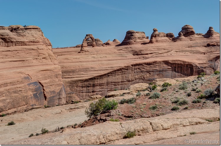 20140421-_DSC4956_7_8-1