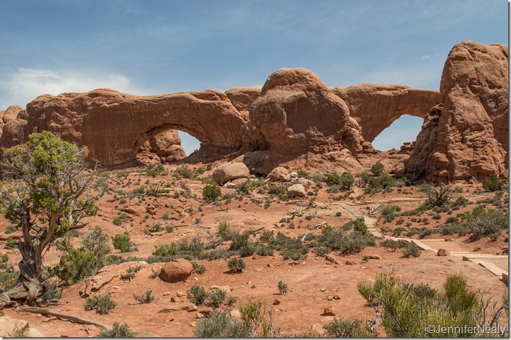 20140421-_DSC5091-14