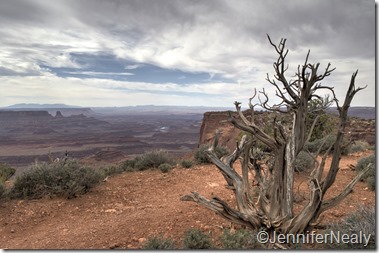 20140422-_DSC5174_5_6