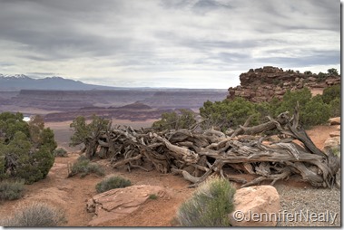 20140422-_DSC5186_7_8