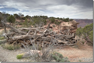 20140422-_DSC5189_90_91