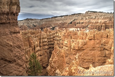 20140425-_DSC5332_3_4