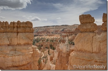 20140425-_DSC5624_5_6