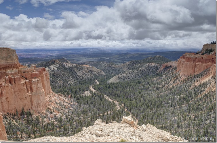 20140426-_DSC5676_7_8