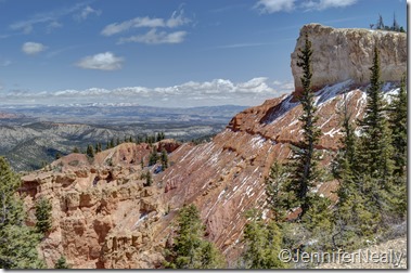 20140427-_DSC5734_5_6