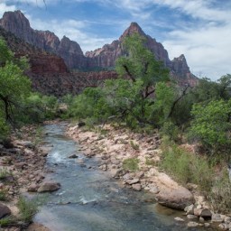 Zion National Park and Crazy Dog Antics