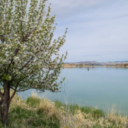 Palisade State Park and Spring Snow