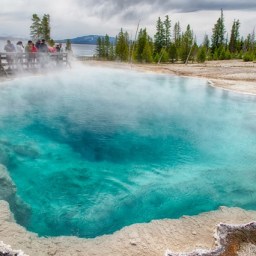 Yellowstone – Geysers, Tours, and Bears!