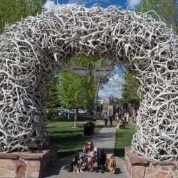 Grand Teton National Park Part IV – Jackson