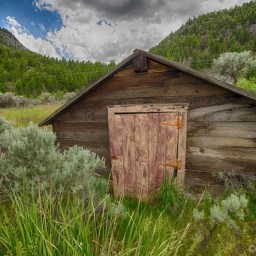 The Yellowstone Trail and Dog Drama