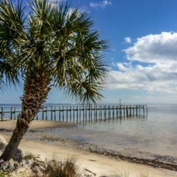 Florida’s Forgotten Coast…and Friends!