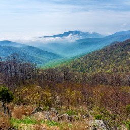 Shenandoah National Park