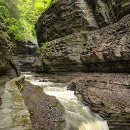 Fun in the Finger Lakes