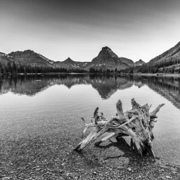 Black and White Photo Challenge