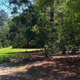 A Long Overdue Update